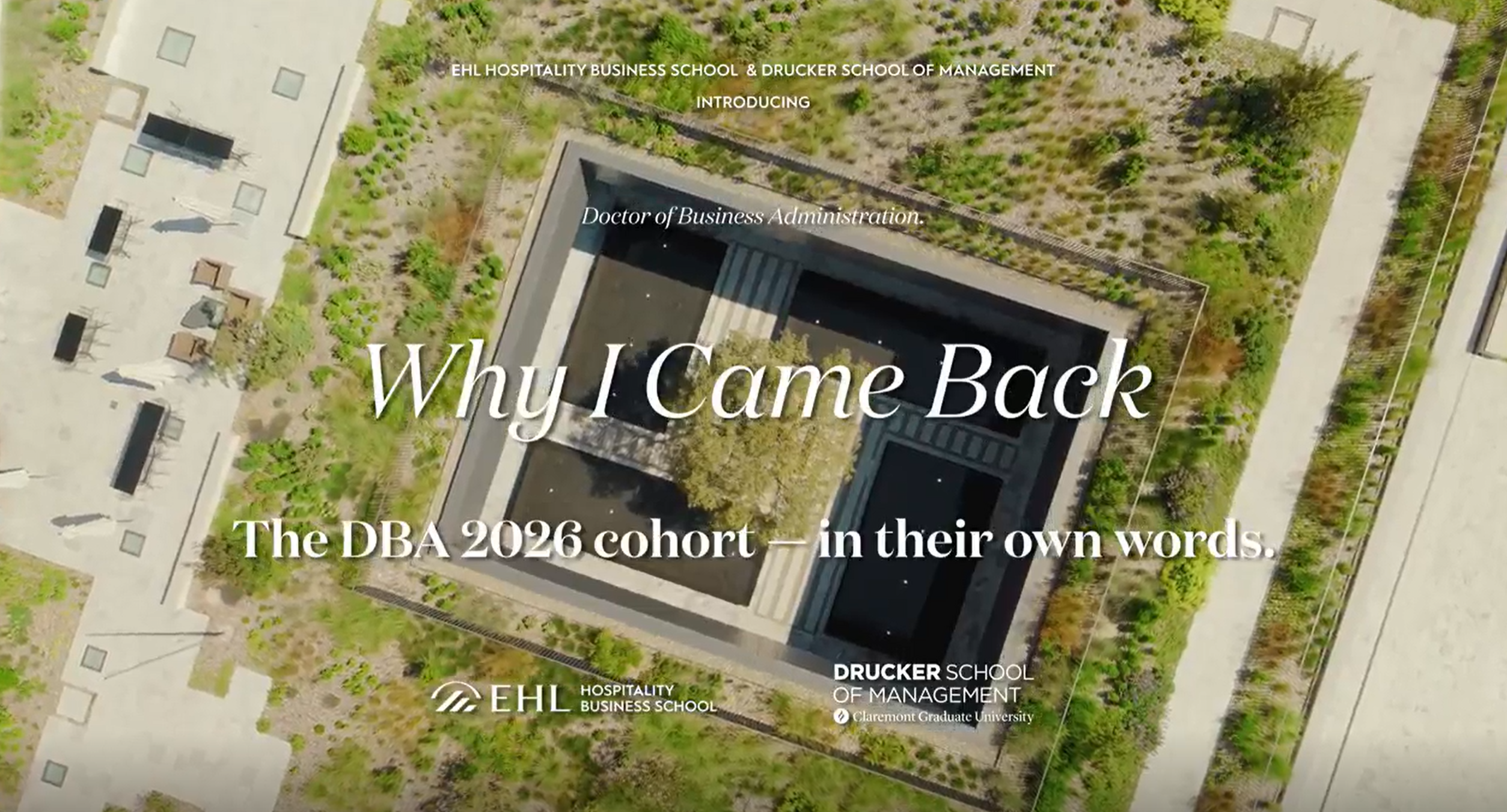 DBA Why I came back video