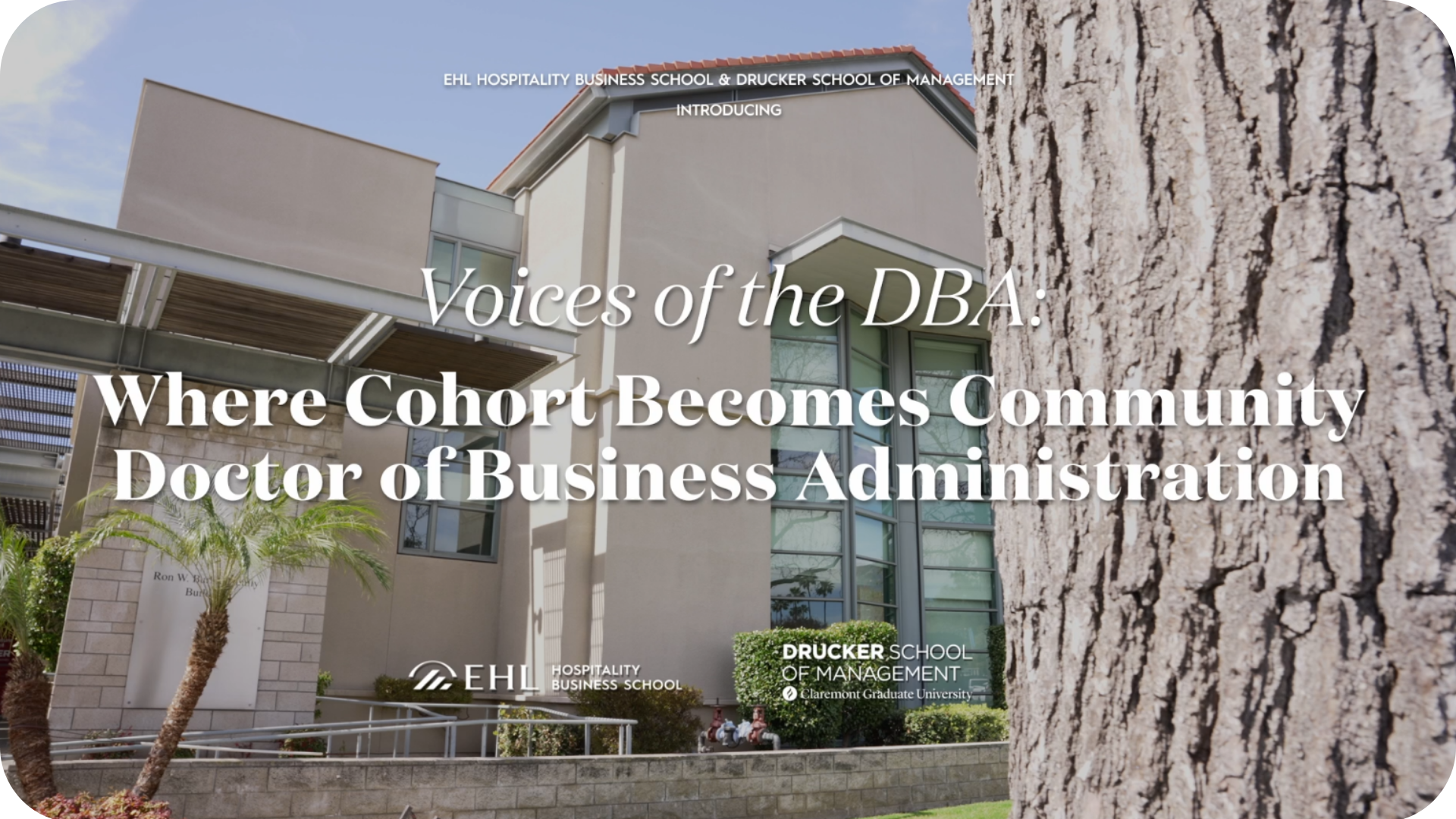 Video Thumbnail - Email (27)