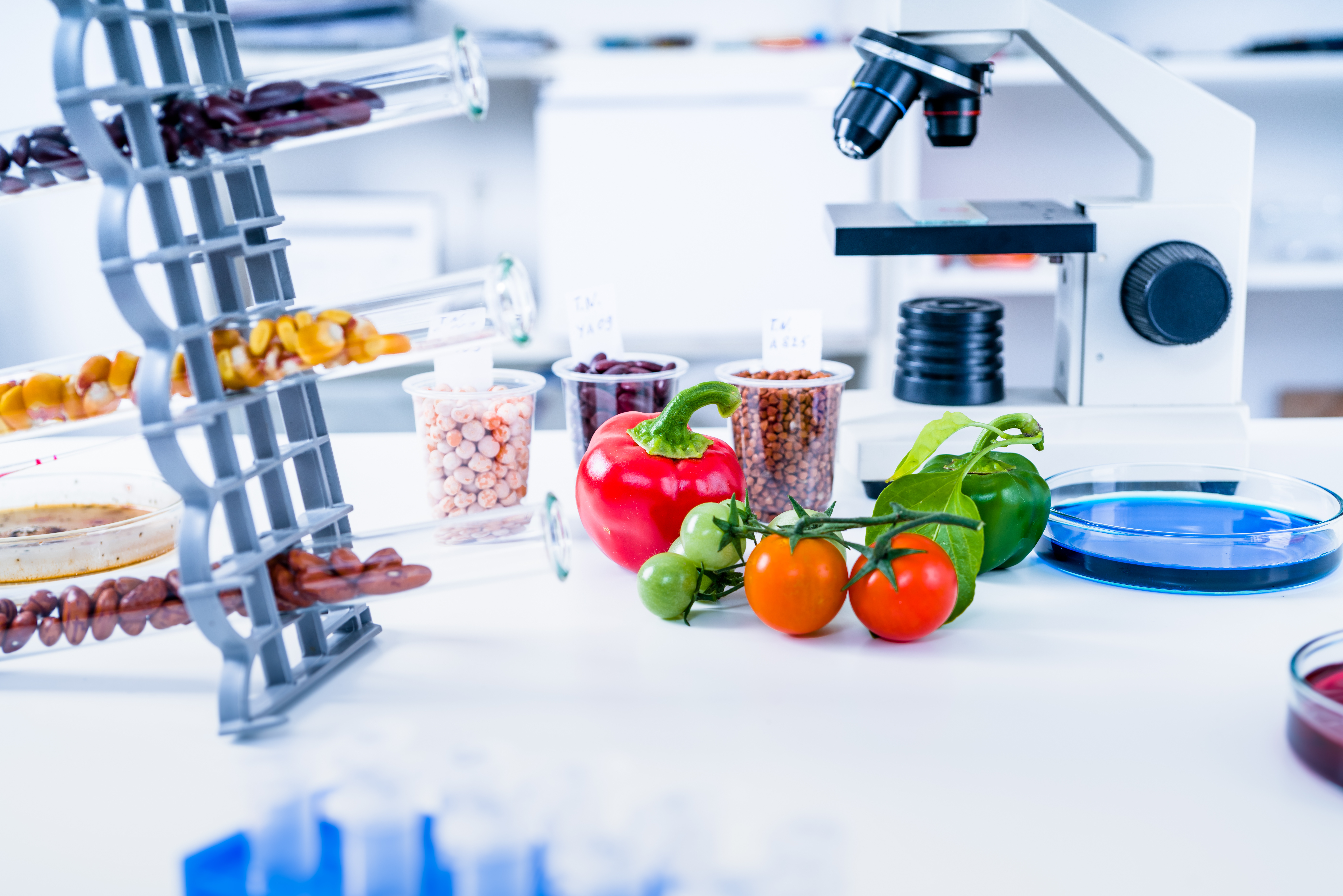 Nutrition_Lab